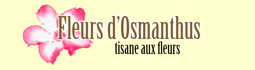 fleurs d'osmanthus