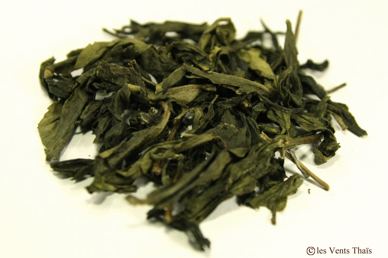 thé vert de Chiang Rai